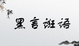 黑黑是什么意思流行词,揭秘网络流行语的神秘魅力