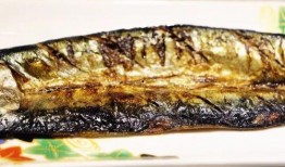 明星视频在线观看 网红黑料牛奶秋刀鱼,黑料、牛奶、秋刀鱼背后的故事