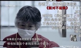 社会热点插画 明星黑料网站视频免费,免费视频背后的真相与争议